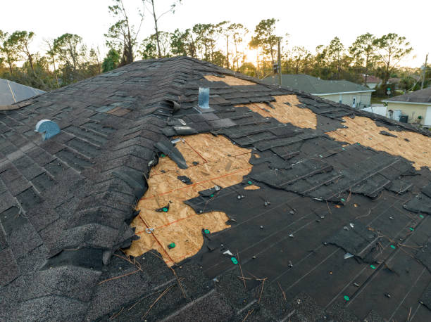 Best Roof Maintenance and Cleaning  in Berry College, GA